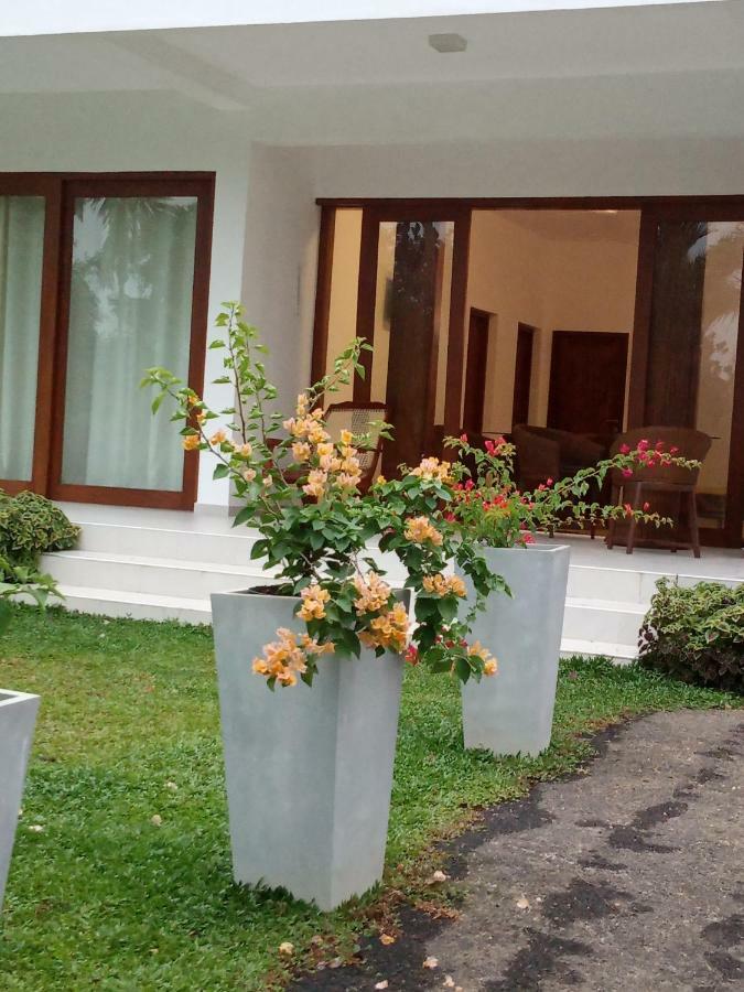 Colibri Villa Maggona Bagian luar foto