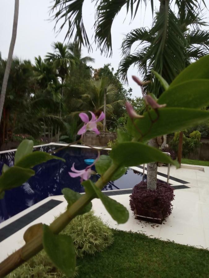 Colibri Villa Maggona Bagian luar foto